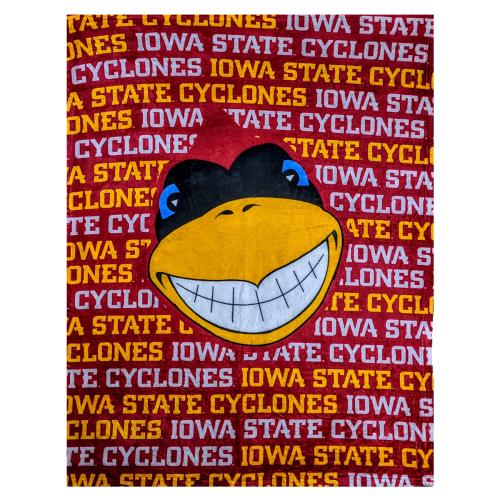Sports & Outdoors - Beach - SilkyWave Full-Color 60 x 80 Blanket