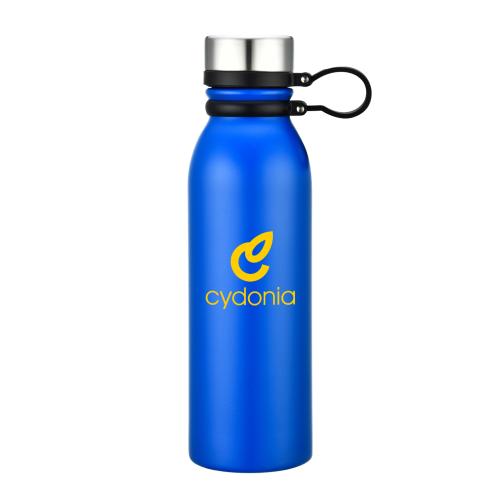 Drinkware - Water Bottles - FrostBond 20oz Matte Steel ThermalFlask