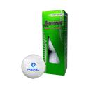 PrecisionPutt Elite Corporate Golf Set