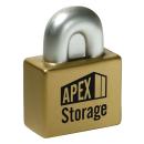 LockEase Poly Stress Buster - Gold/Silver