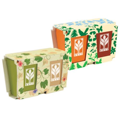 Occasions - Earth Day - EcoGrow Duo Biodegradable Planter Set