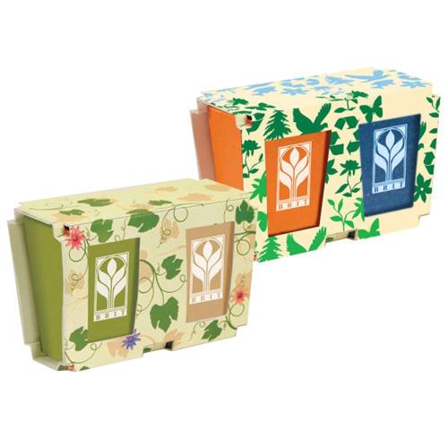 Occasions - Earth Day - EcoGrow Duo Biodegradable Planter Set