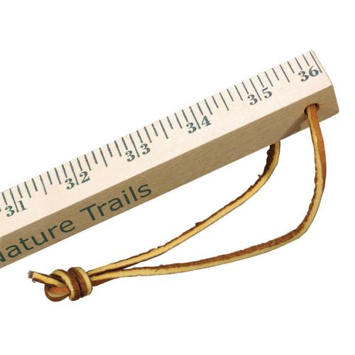 Auto & Tools - Rulers - StrideMaster Clear Finish Walking Stick