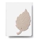 Bloomin&reg; Aspen Shaped Plantable Gift Pack