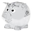 PodgyPal Translucent Coin Bank