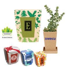 SproutEase Biodegradable Herb Planter - New Additions