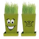 Green;Green