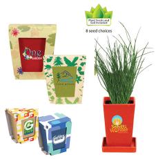 Vibrant Seed Starter Set - Occasions