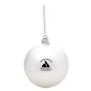 Silver;Silver / Chrome