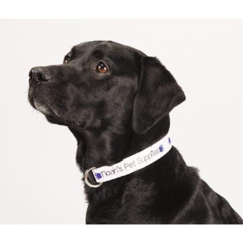 Home & Kitchen - Pet Accessories - PawsPrint Adjustable Vibrant Pet Collar