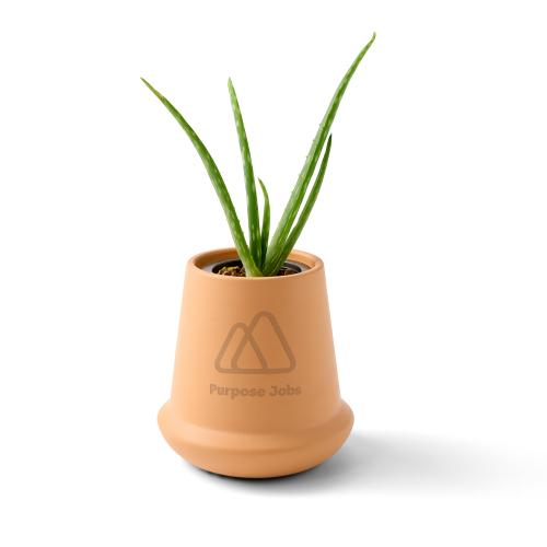 Health & Wellness - Planters and Grow Kits - Modern Sprout&reg; Modern Terracotta Grow Kit Aloe