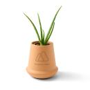 Modern Sprout&reg; Modern Terracotta Grow Kit Aloe