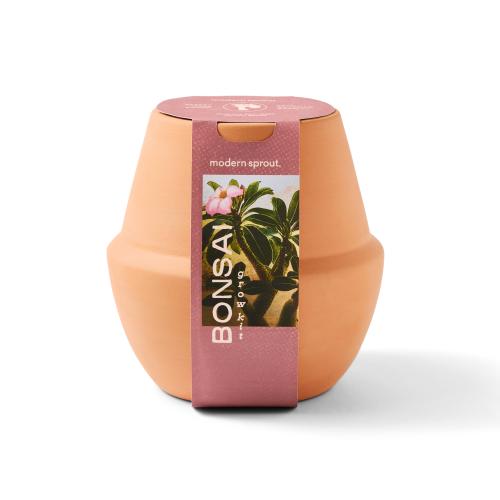 Health & Wellness - Planters and Grow Kits - Modern Sprout&reg; Modern Terracotta Grow Kit Bonsai