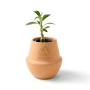 Modern Sprout&reg; Modern Terracotta Grow Kit Bonsai