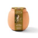 DesertBloom Terracotta Cactus Kit