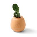 DesertBloom Terracotta Cactus Kit