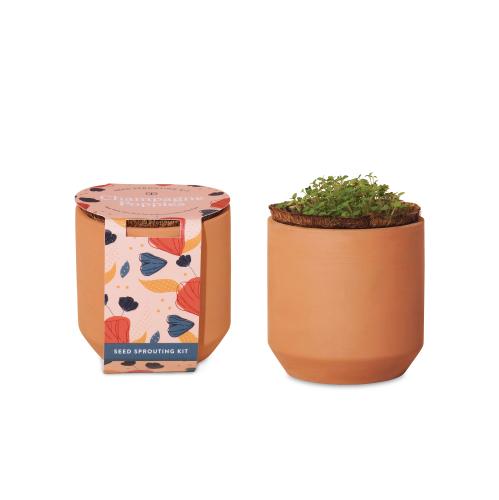 Health & Wellness - Planters and Grow Kits - Modern Sprout&reg; Tiny Terracotta Grow Kit Champagne Poppies
