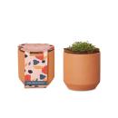 Modern Sprout&reg; Tiny Terracotta Grow Kit Champagne Poppies
