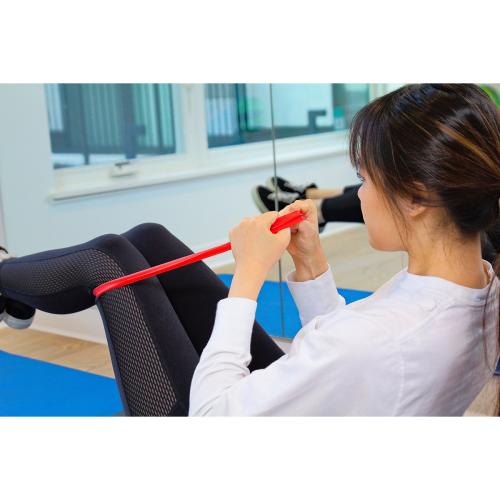 Sports & Outdoors - FlexaBand Trio Workout Set