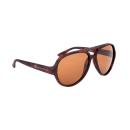 TORTOISE;Brown