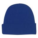 ROYAL BLUE 301 C