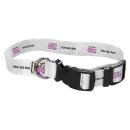 America250&trade; Dye-Sublimated Pet Collar