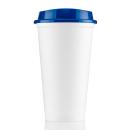 White/Blue 294 C