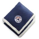 Navy (NY) PMS289