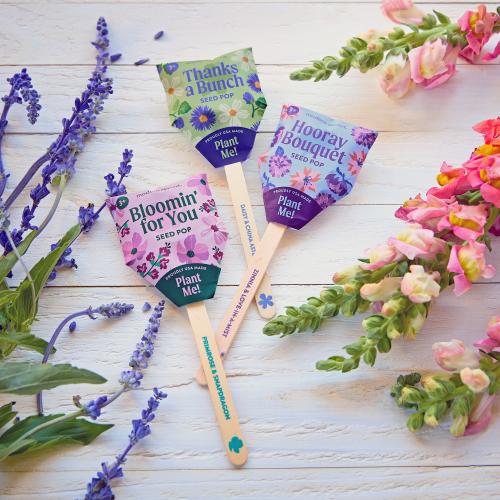 Health & Wellness - Planters and Grow Kits - Bloomin' Cheers Seed Pops - Engraved Wood Charm