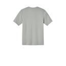 LightGrey COOL GRAY 6C