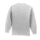 Ash COOL GRAY 3C