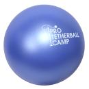 Pearlized Blue 286