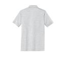 Ash COOL GRAY 3C