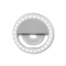 Gray 428 C