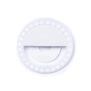 White White C