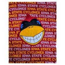 SilkyWave Full-Color 60 x 80 Blanket - Beach