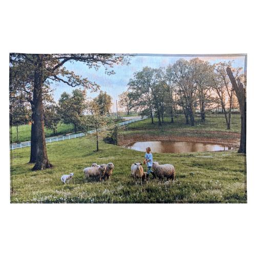 Auto & Tools - Car Accessores - ColorScape 20x31 Non-Skid Accent Rug