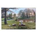 ColorScape 20x31 Non-Skid Accent Rug