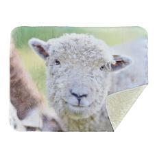CloudCozy Faux Mink Blanket - 30x40 Sublimation - Home & Kitchen