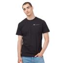 ten Meteorite Black (896);Black