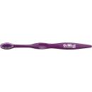 Purple (PP) PMS242