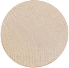 EcoNick Silkscreen Wooden Coin - School Swag