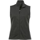 Grey Storm (991);Grey