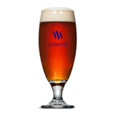 Elegance 16oz Clear Pilsner Glass Set - Beer Glasses & Stiens