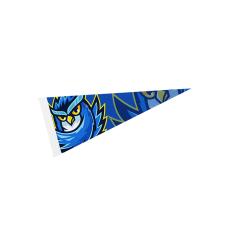 FlexiFelt 4x10 Colorwave Pennant - Team Spirit Gear