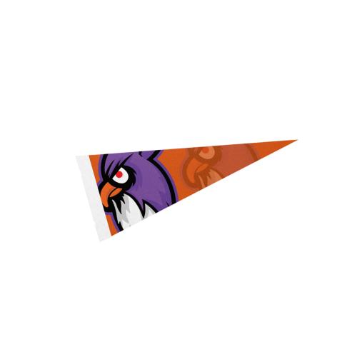 Tradeshow Accessories - Flags - PennantPride 5x12 Felt Display Flag