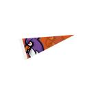PennantPride 5x12 Felt Display Flag