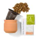 FortuneBloom Terracotta Grow Kit