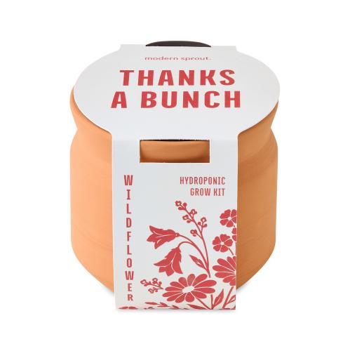Health & Wellness - Planters and Grow Kits - Tiny Terracotta Gratitude Garden Kit