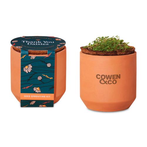 Health & Wellness - Planters and Grow Kits - Modern Sprout&reg; Tiny Terracotta Grow Kit Thank You Daisies
